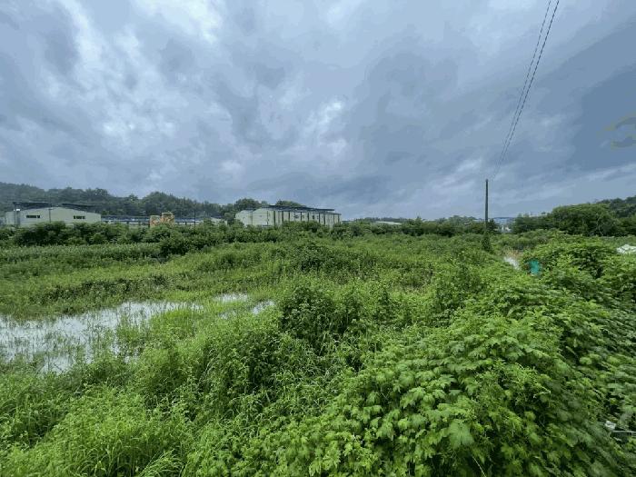 경상남도 함안군 칠서면 용성리 391-1 전 경매 사진 1