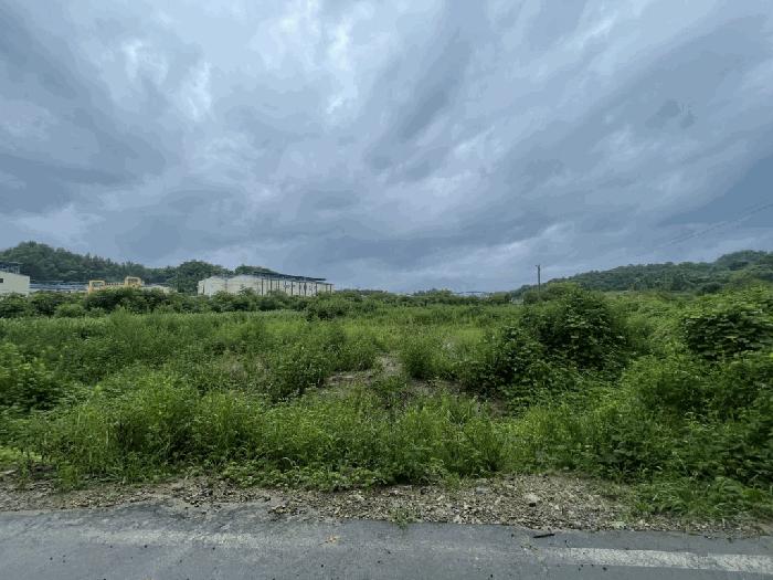 경상남도 함안군 칠서면 용성리 391-1 전 경매 사진 2