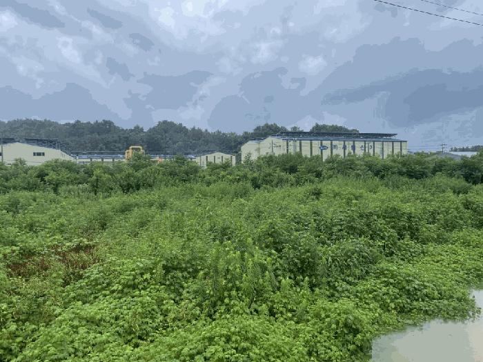 경상남도 함안군 칠서면 용성리 391-1 전 경매 사진 4