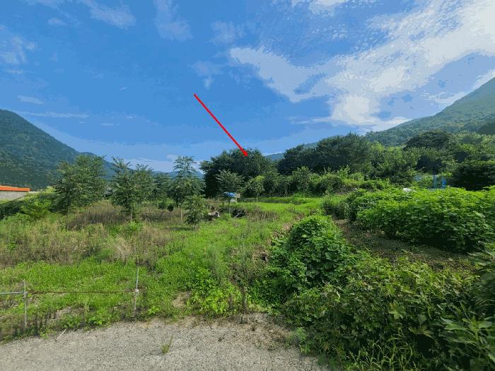 경상남도 창원시 마산합포구 진동면 교동리 512 전 경매 사진 3