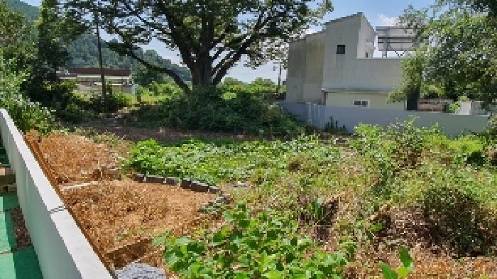 경상남도 창원시 마산합포구 진동면 교동리 721 대지 경매 사진 11