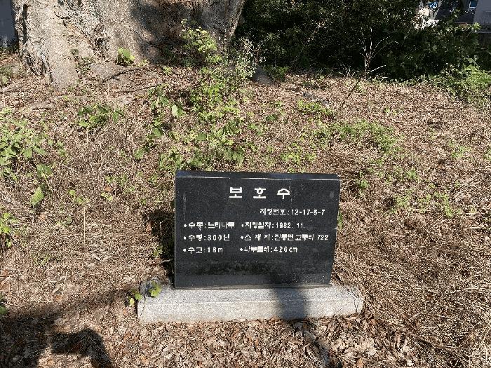 경상남도 창원시 마산합포구 진동면 교동리 721 대지 경매 사진 6