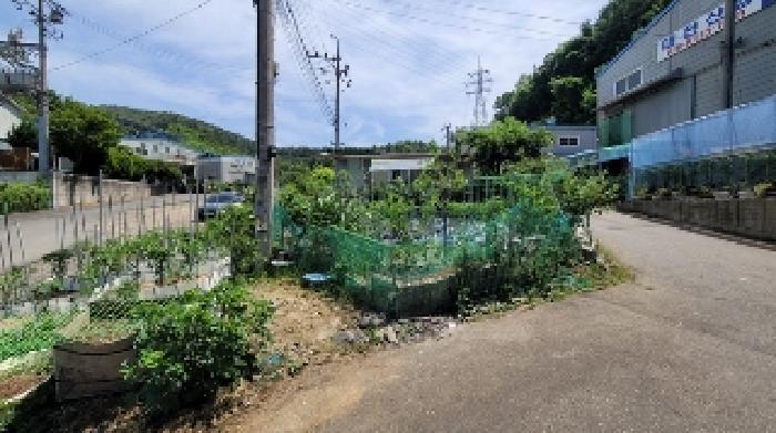 경상남도 함안군 칠원읍 구성리 242-4 답 경매 사진 10