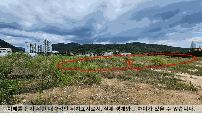 경상남도 창원시 마산합포구 진동면 요장리 575-18 답 경매 사진 7