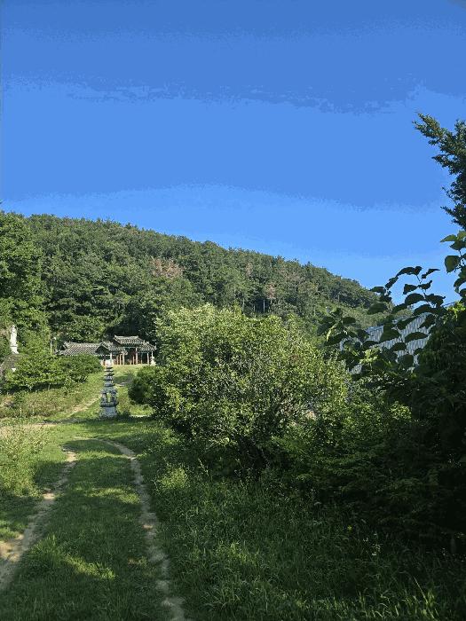 경상남도 창원시 마산합포구 임야