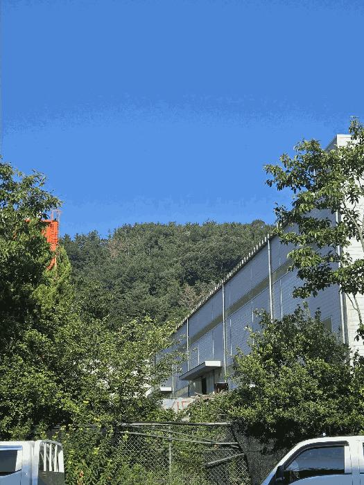 경상남도 창원시 마산합포구 진북면 신촌리 산47 임야 경매 사진 3