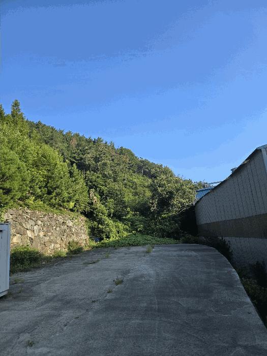 경상남도 창원시 마산합포구 진북면 신촌리 산47 임야 경매 사진 4