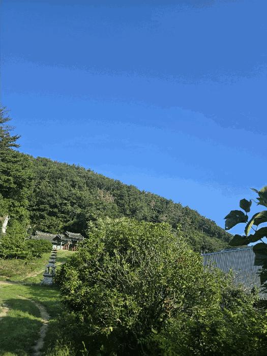 경상남도 창원시 마산합포구 진북면 신촌리 산47 임야 경매 사진 6