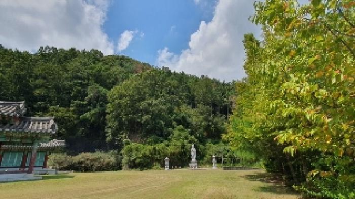 경상남도 창원시 마산합포구 진북면 신촌리 산47 임야 경매 사진 7