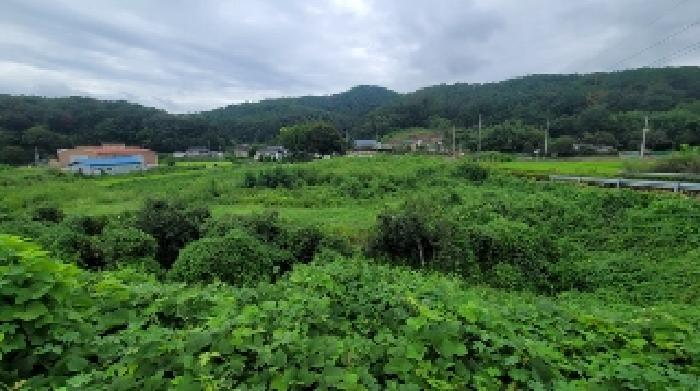 경상남도 함안군 군북면 수곡리 31-4 답 경매 사진 4