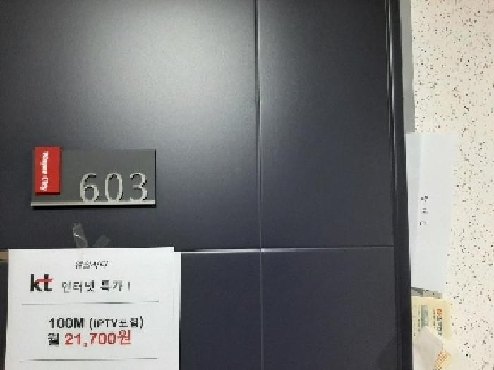 서울특별시 강서구 화곡동 24-42 웨인씨티 제6층 제603호 오피스텔 경매 사진 10