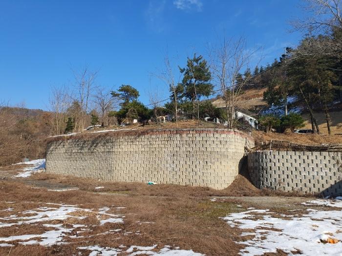 경기도 용인시 처인구 양지면 양지리 314-1 임야 경매 사진 5