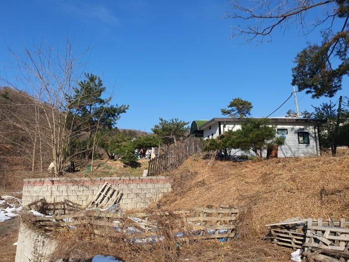 경기도 용인시 처인구 양지면 양지리 314-2 임야 경매 사진 13