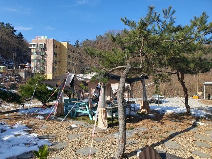 경기도 용인시 처인구 양지면 양지리 314-2 임야 경매 사진 16