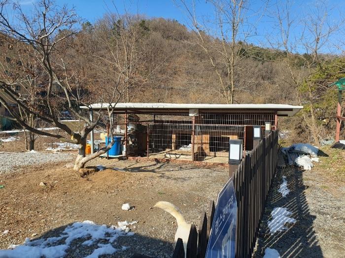 경기도 용인시 처인구 양지면 양지리 314-2 임야 경매 사진 7