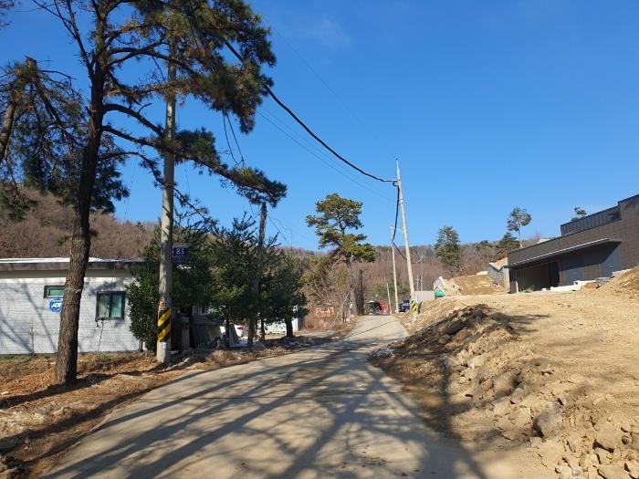 경기도 용인시 처인구 양지면 양지리 314-2 임야 경매 사진 8