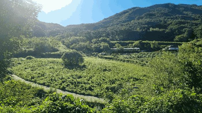 경상남도 거창군 가북면 용암리 507 답 경매 사진 1