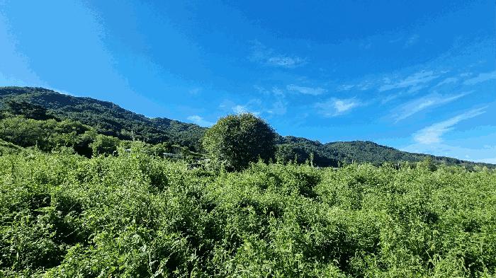 경상남도 거창군 가북면 용암리 507 답 경매 사진 2