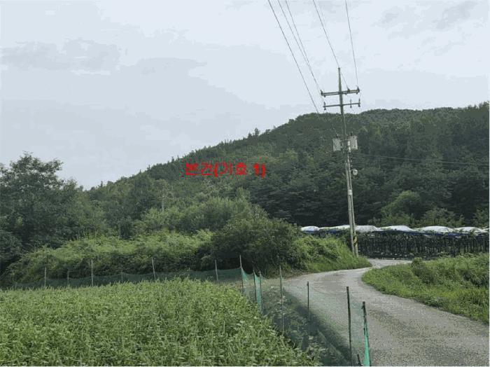 경상남도 거창군 웅양면 한기리 산51-3 임야 경매 사진 1