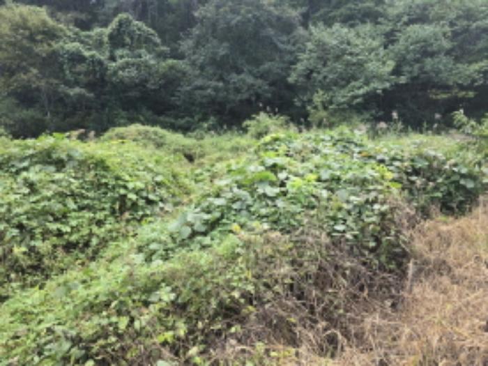 경상남도 합천군 쌍백면 장전리 407 답 경매 사진 44