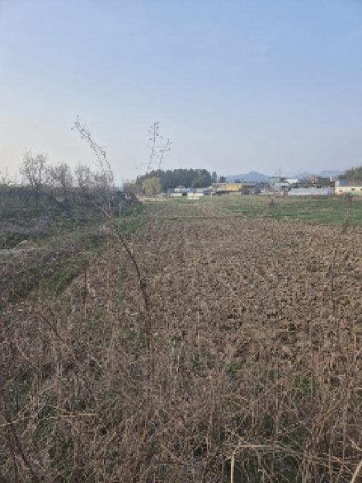 전라남도 나주시 공산면 남창리 산56 임야 경매 사진 10