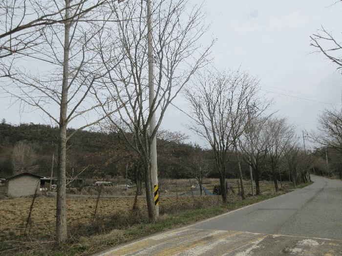 전라남도 나주시 공산면 남창리 산56 임야 경매 사진 2