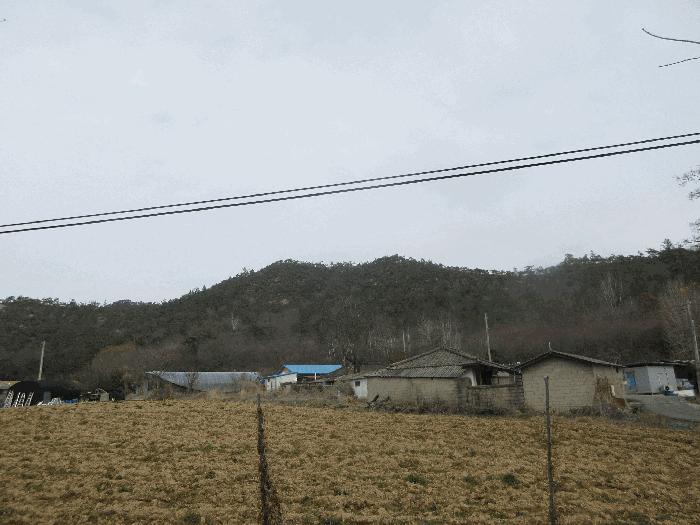 전라남도 나주시 공산면 남창리 산56 임야 경매 사진 4