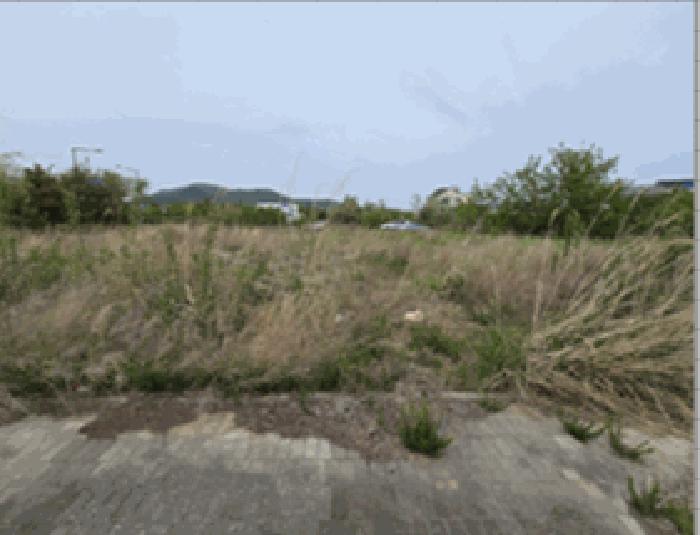 인천 중구 대지