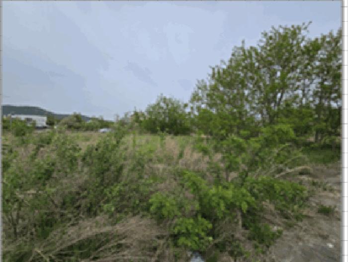인천광역시 중구 운남동 1634-2 대지 경매 사진 2