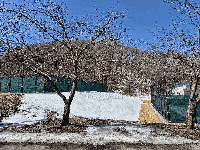 경기도 용인시 처인구 백암면 석천리 산40-5 임야 경매 사진 2