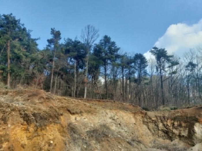 경기도 용인시 수지구 동천동 698 전 경매 사진 40