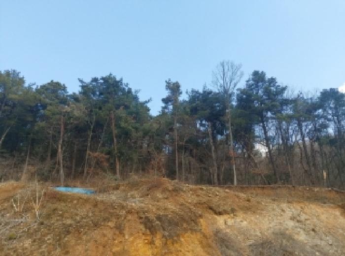 경기도 용인시 수지구 동천동 699 답 경매 사진 39
