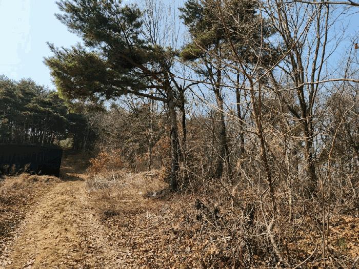 경기 화성시 임야