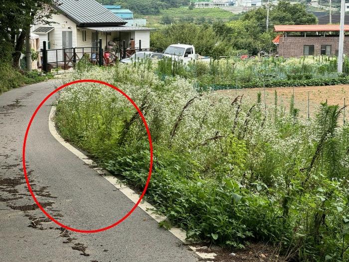 경기도 안성시 미양면 보체리 65-5 전 경매 사진 3