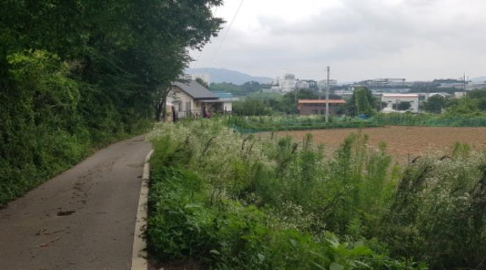 경기도 안성시 미양면 보체리 66-6 전 경매 사진 8