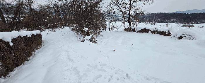 경기도 안성시 죽산면 장계리 204 전 경매 사진 12