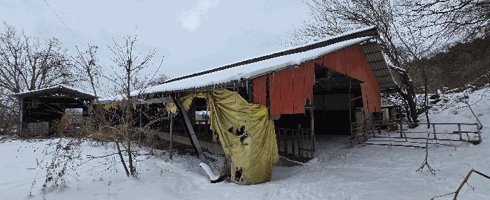 경기도 안성시 죽산면 장계리 204 전 경매 사진 14