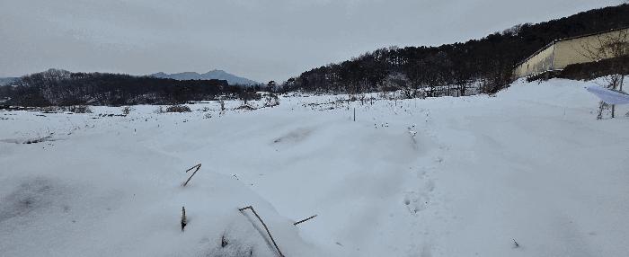 경기도 안성시 죽산면 장계리 204 전 경매 사진 16