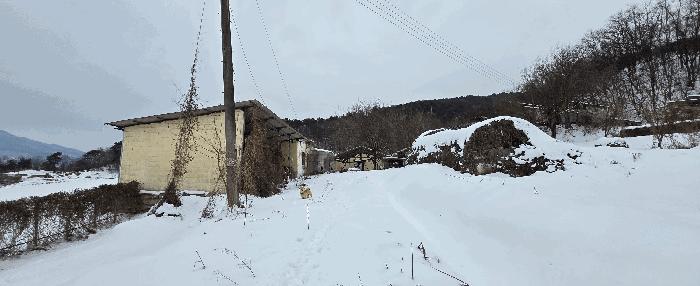 경기도 안성시 죽산면 장계리 204 전 경매 사진 17