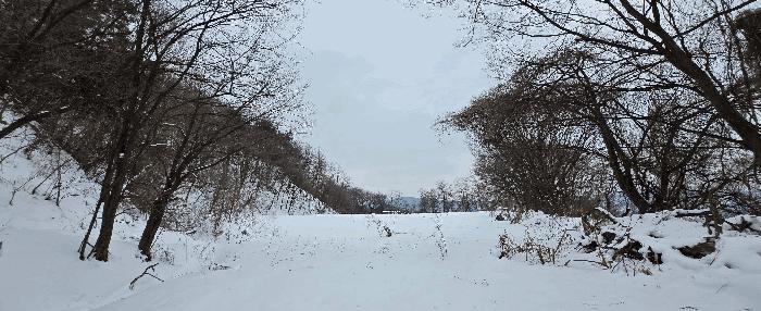 경기도 안성시 죽산면 장계리 204 전 경매 사진 18