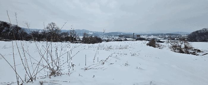 경기도 안성시 죽산면 장계리 204 전 경매 사진 2
