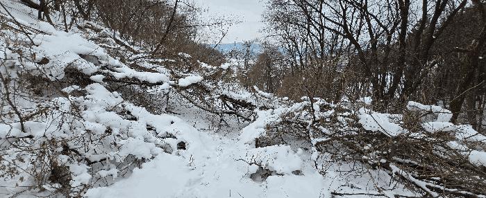경기도 안성시 죽산면 장계리 204 전 경매 사진 4