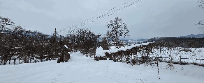 경기도 안성시 죽산면 장계리 204 전 경매 사진 9