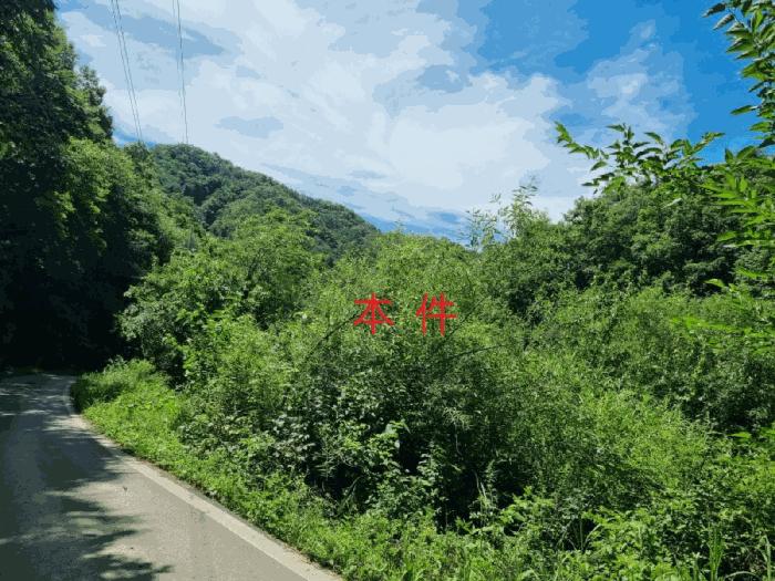 강원 횡성군 답