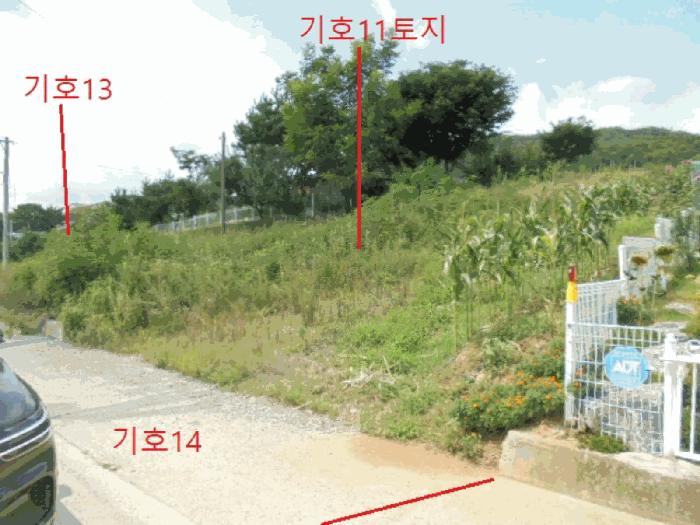충청북도 제천시 신월동 산15-65 임야 경매 사진 10