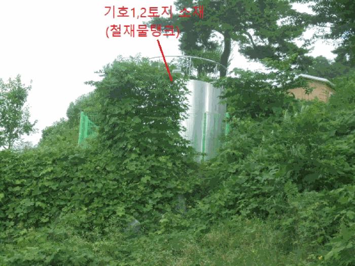 충청북도 제천시 신월동 산15-65 임야 경매 사진 12