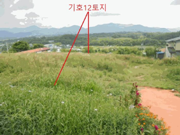 충청북도 제천시 신월동 산15-65 임야 경매 사진 4