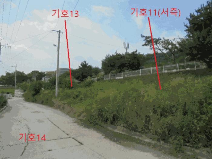 충청북도 제천시 신월동 산15-65 임야 경매 사진 6