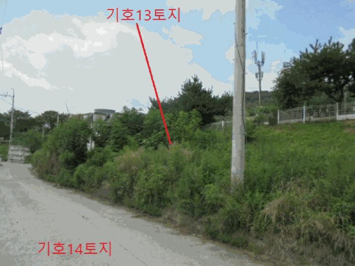 충청북도 제천시 과수원