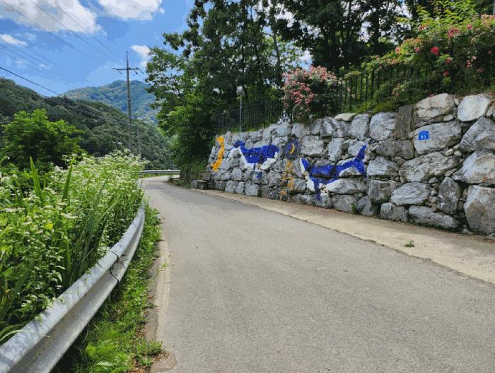 충청북도 충주시 대소원면 완오리 663-9 임야 경매 사진 4